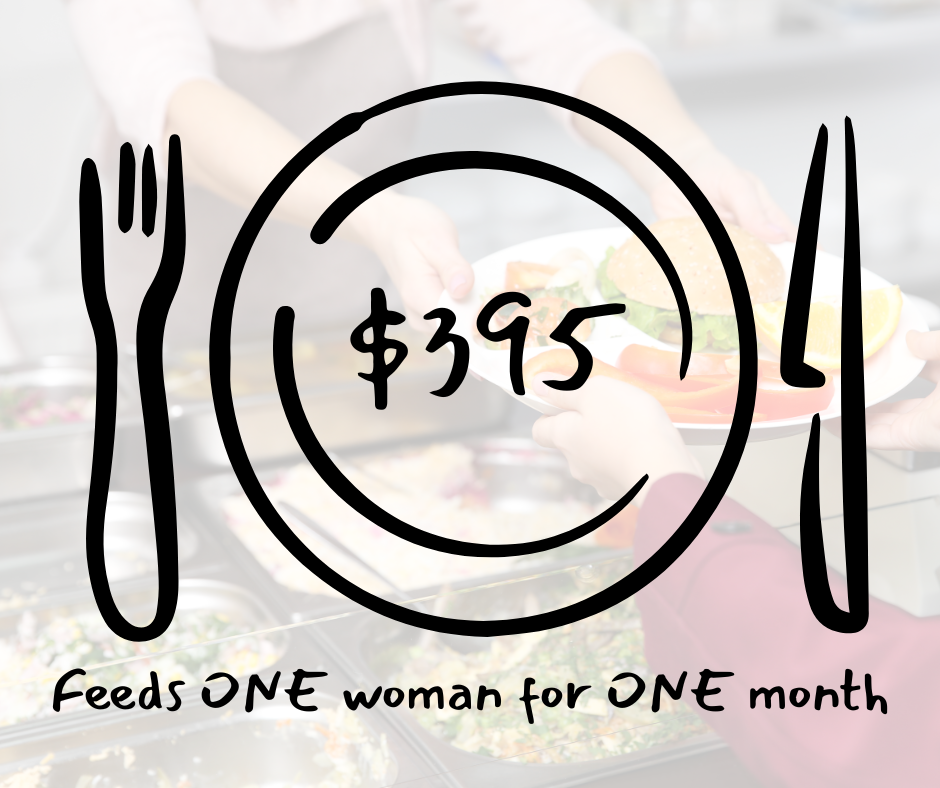 Graphic showing a plate and spoon with $395 feeding a woman for a month