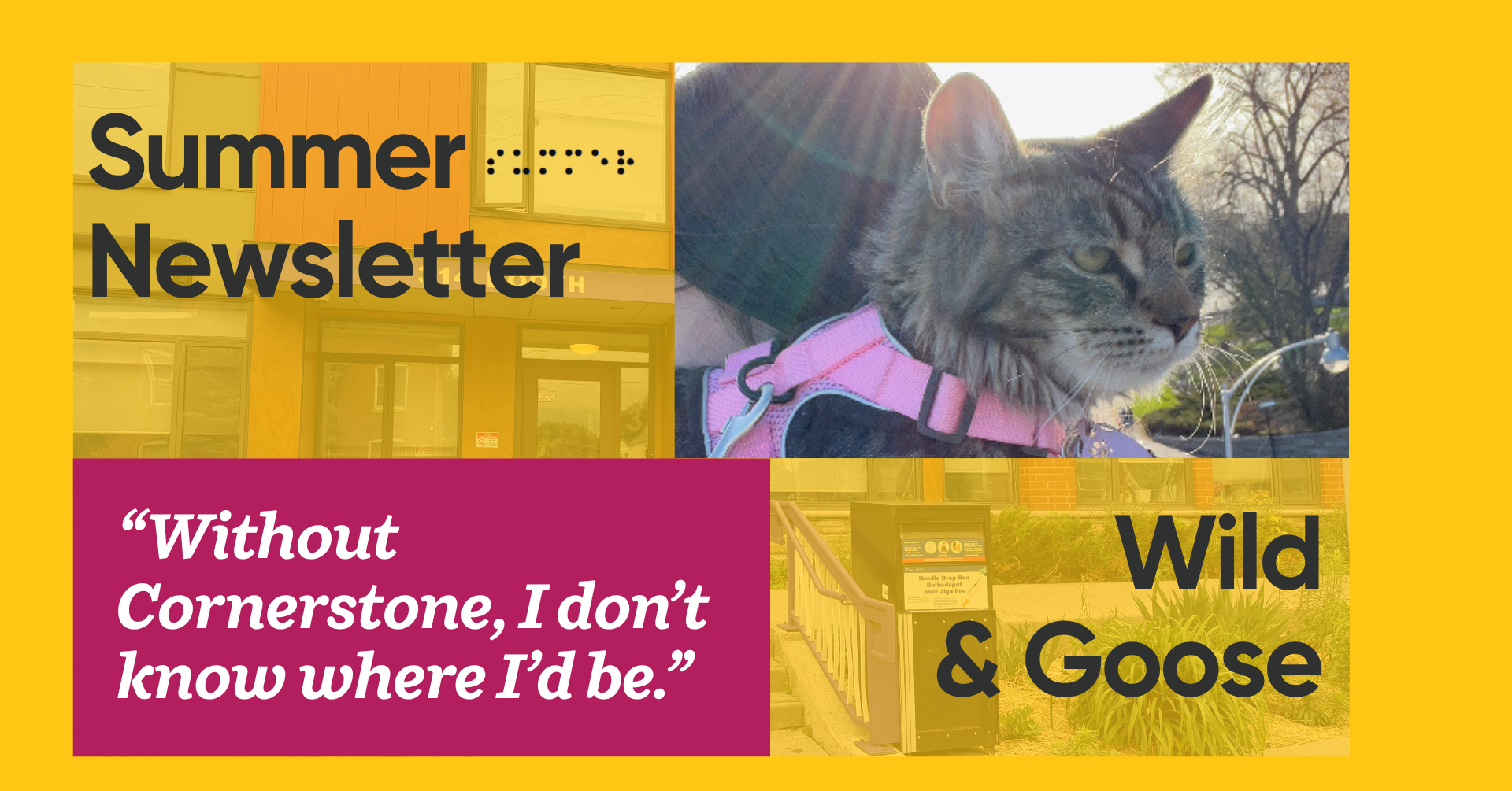 Summer Newsletter 2026 Facebook Cover Page